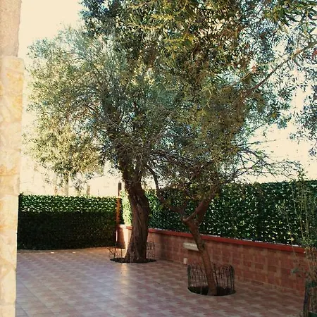 Doris D'amare Capaci